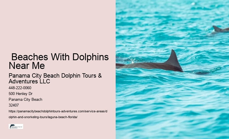 Dolphin.tours Near Me