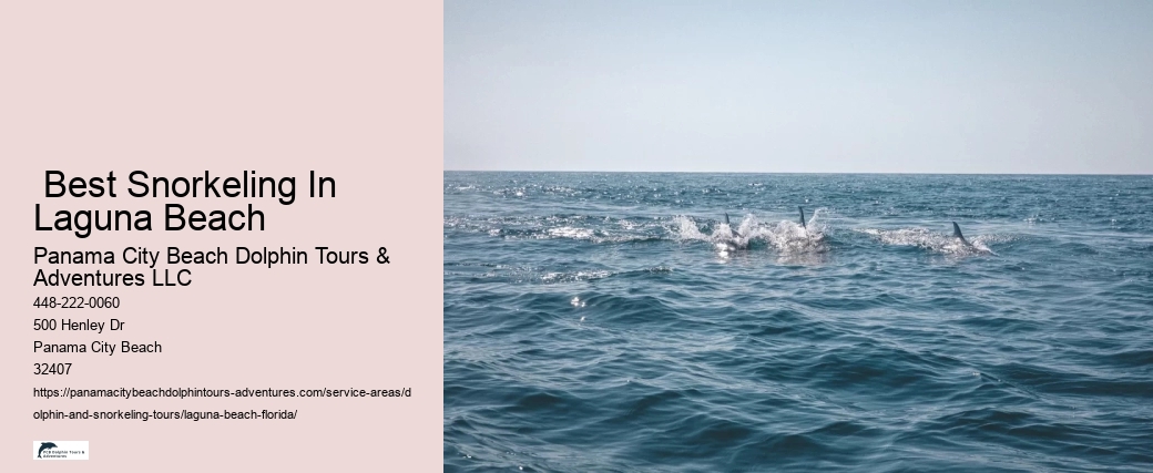 Best Dolphin Cruise Near Me