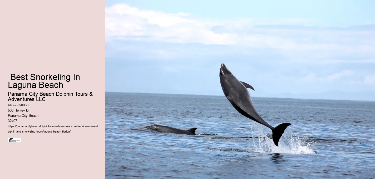 Snorkeling Boat Tours Big Island