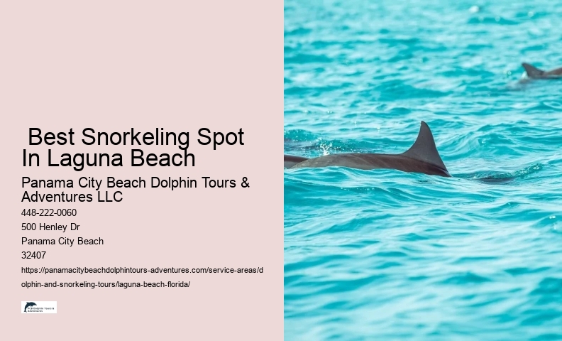 Snorkeling Tours Laguna