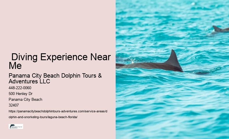 Group Snorkeling Trips