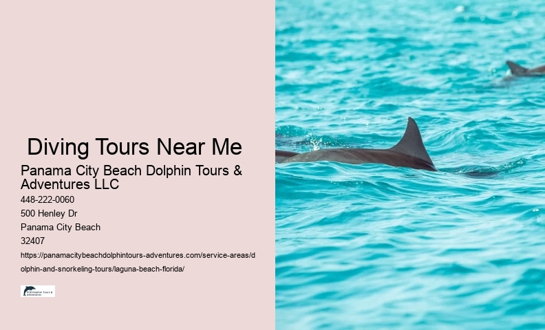 Snorkeling Tours Near Clearwater