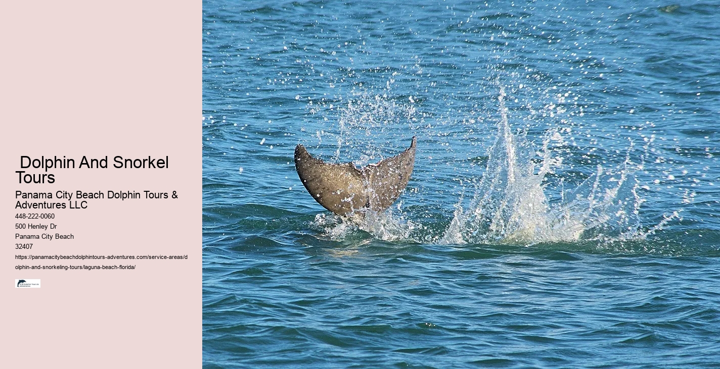 Whale Watching Near Me Now