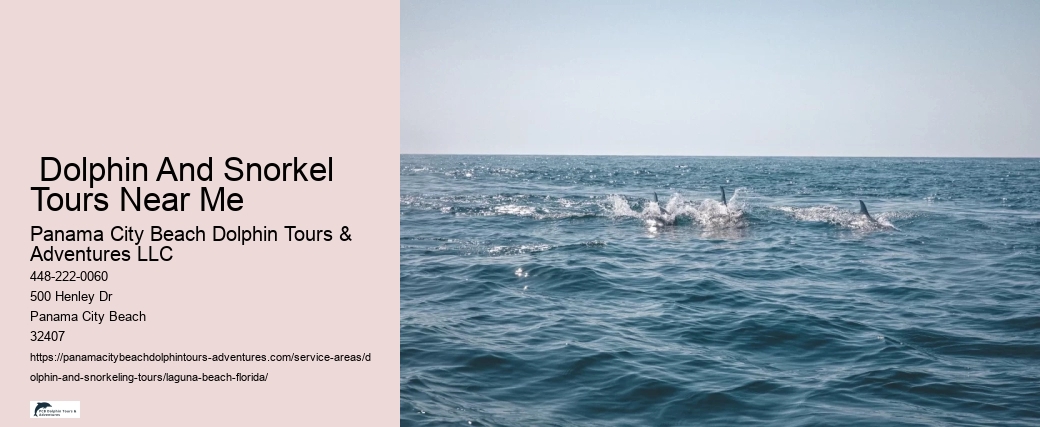 Dolphin Watching Boat Tour Near Me