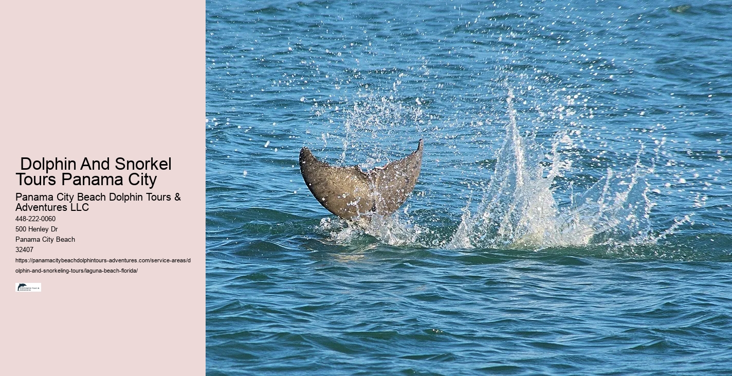 Where is the best place to swim with wild dolphins