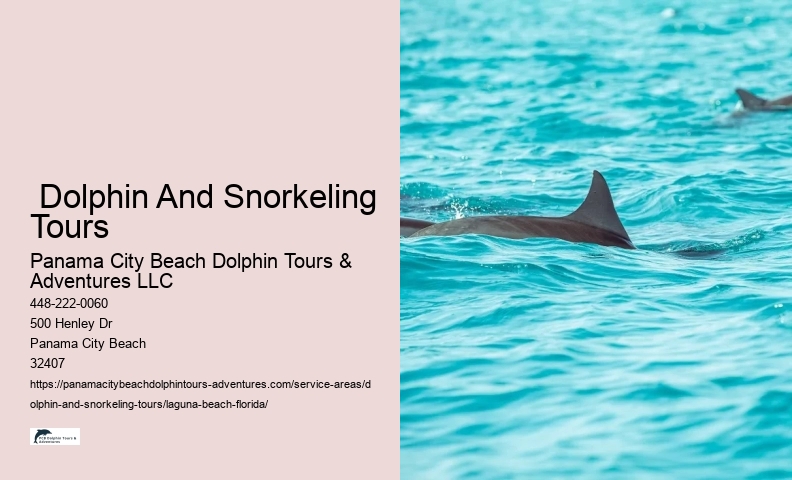 Snorkeling Adventures Near Me