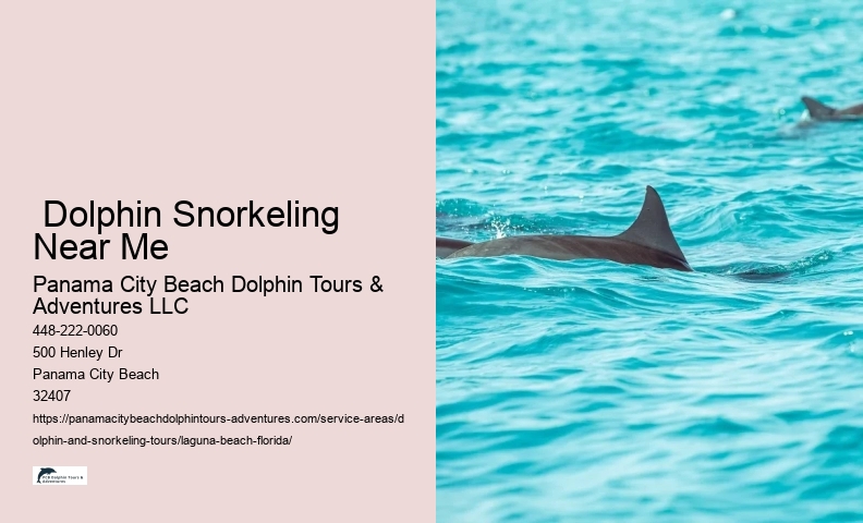 Dolphin And Shelling Tours Near Me