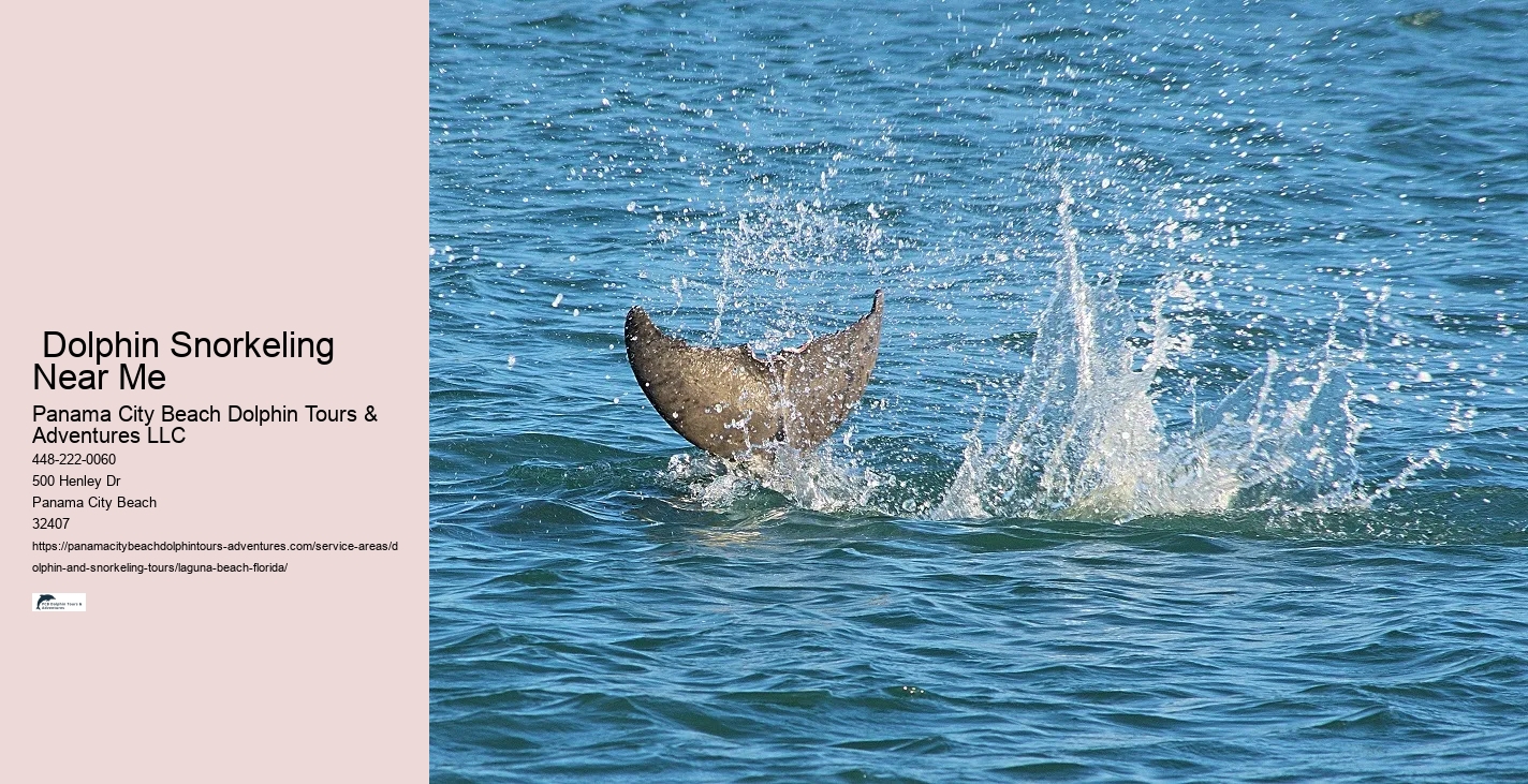 Snorkel And Dolphin Tours Panama City Beach