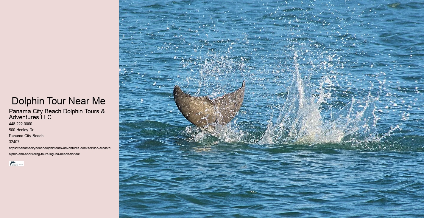 Laguna Beach Snorkeling Review