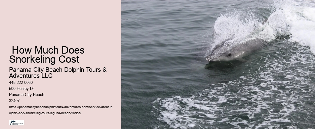 Is it legal to swim with wild dolphins in Florida