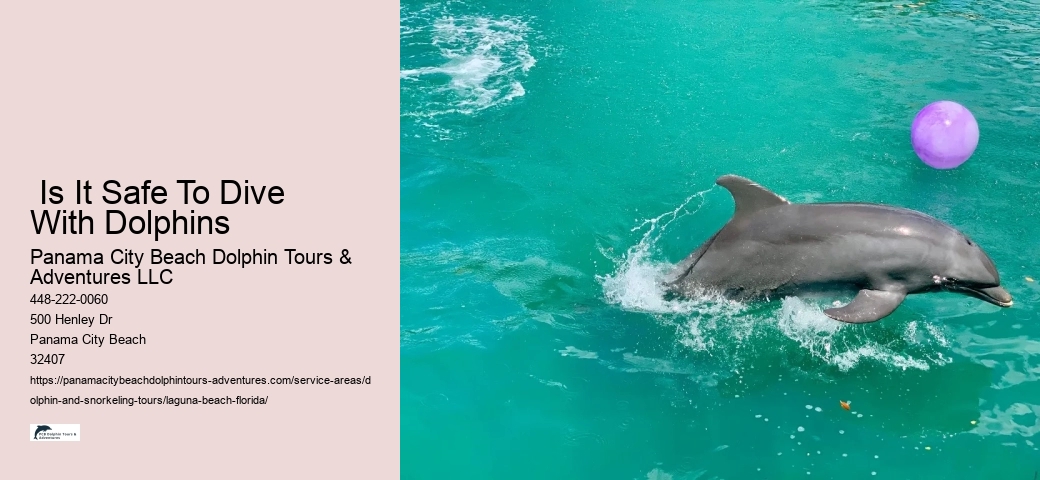 Dolphin Tour Boat