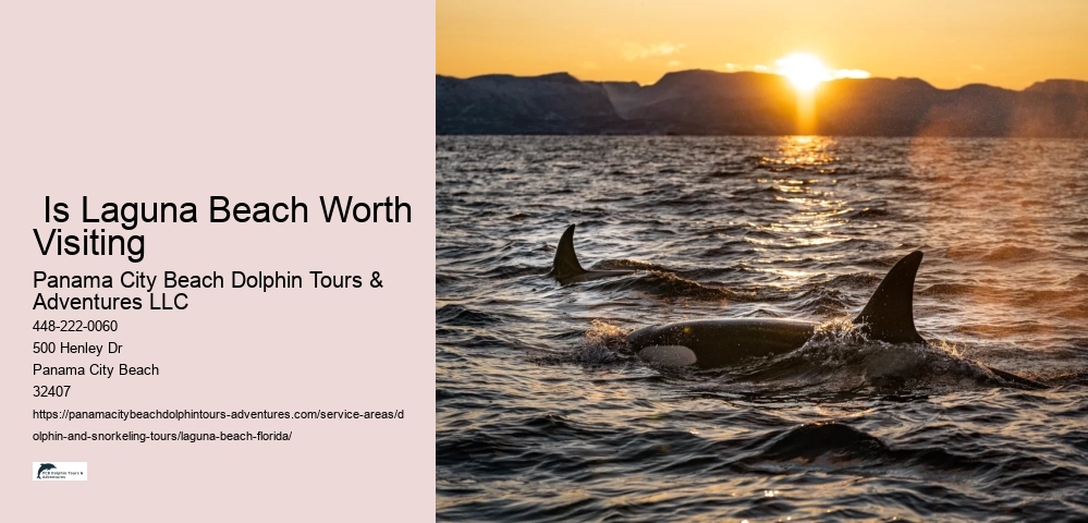 Snorkeling Vip Tours
