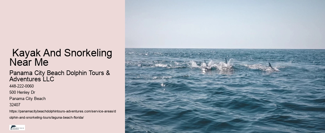 Split Charter Dolphin And Snorkeling Tours 2 Hours