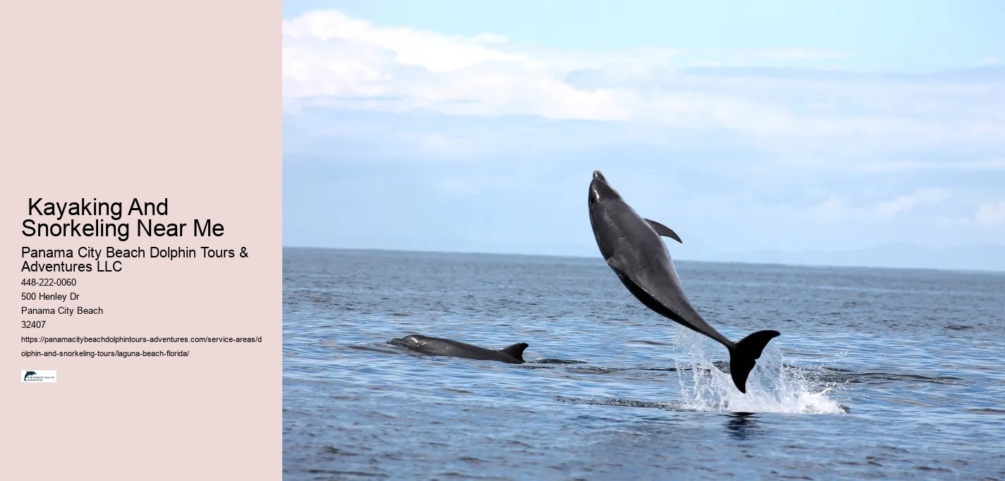 Do dolphins like to swim with you