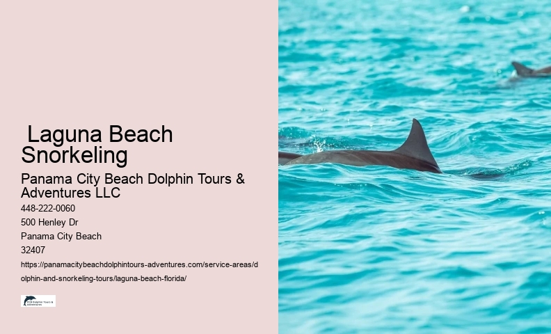 Dolphin Watching Tours Near Me