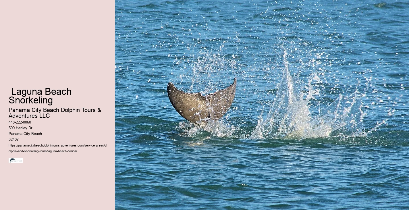 Best Snorkeling Tours