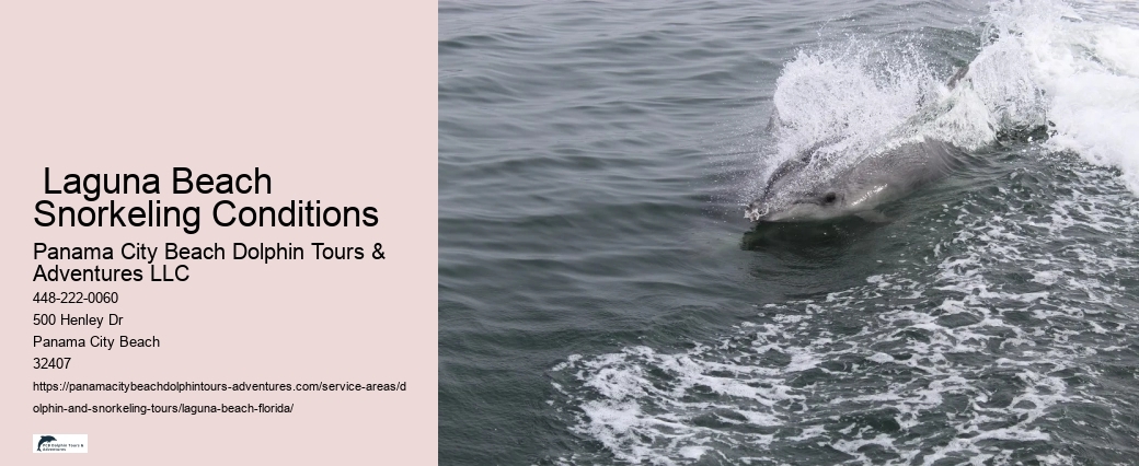 Are Dolphin Cruises Safe