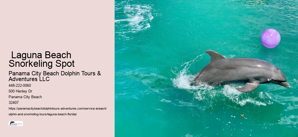 Dolphin & Wildlife Adventure Cruise
