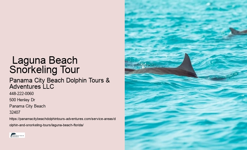 Snorkeling Tours Laguna