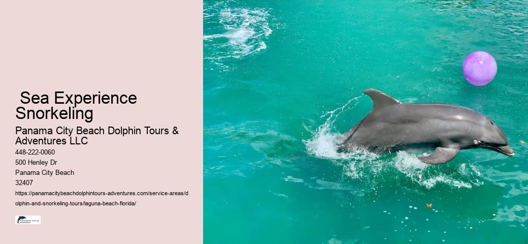 Is there a weight limit to swim with dolphins