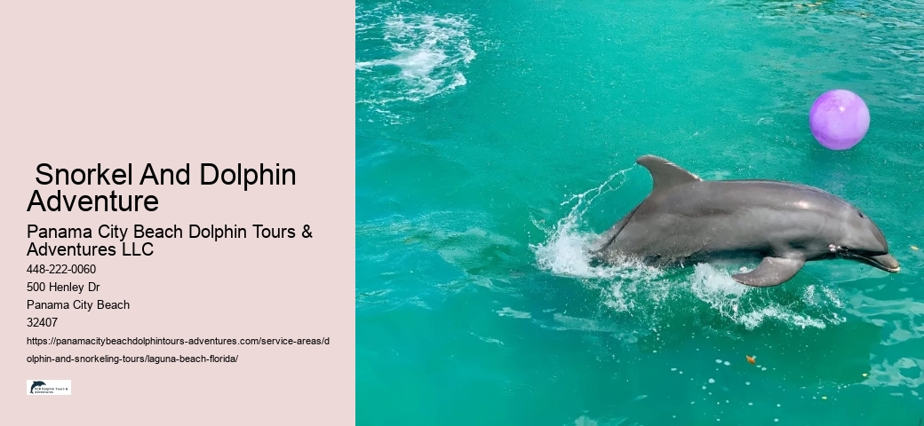 Dolphin & Snorkeling Tours Panama City Beach