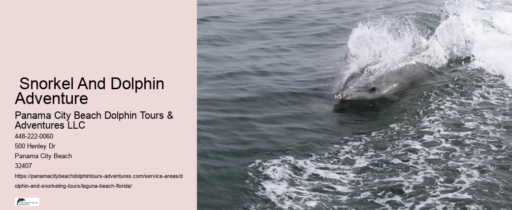 Is it dolphin season in Florida