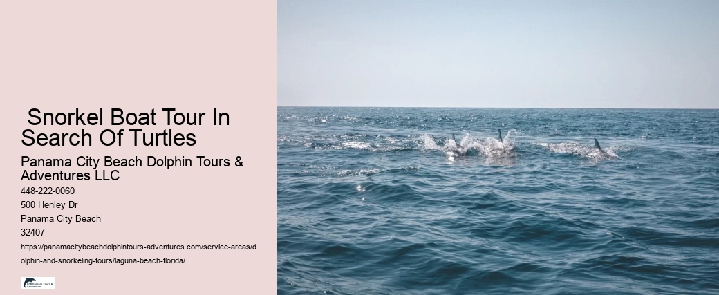 Do dolphins take humans to shore