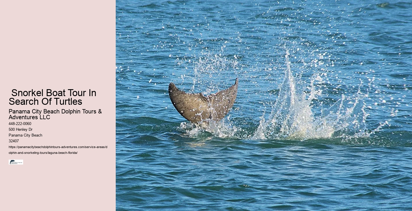 Boat Tours Near Me