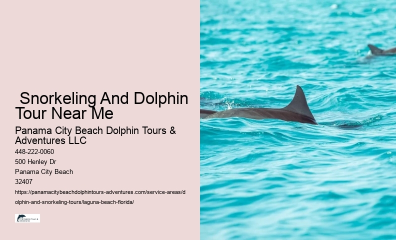 Beach Dolphin