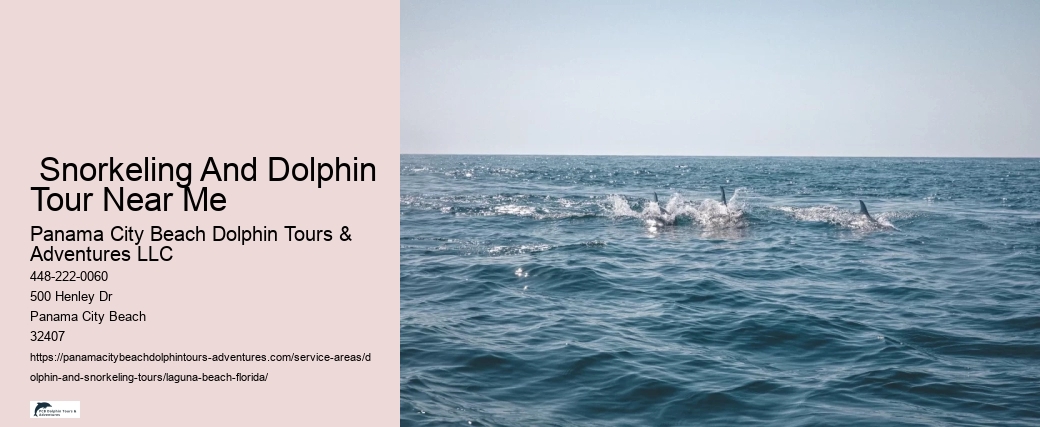 What time of day do dolphins come out