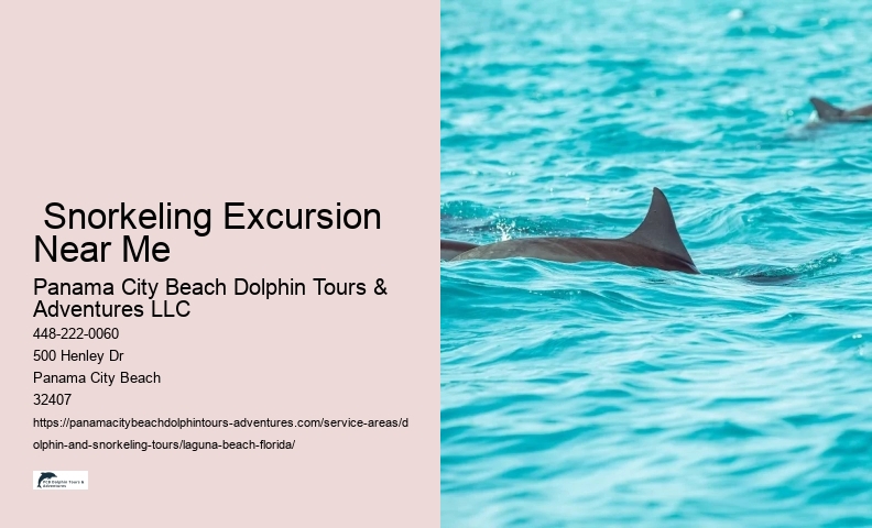 Dolphin Seeing Near Me