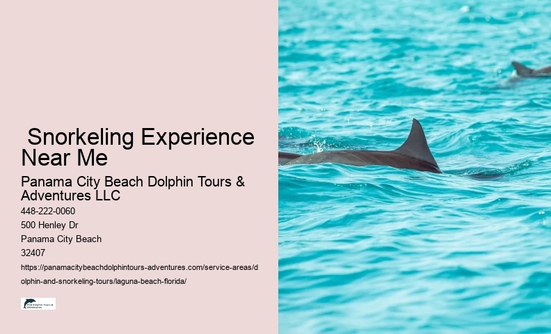 What is dolphin season