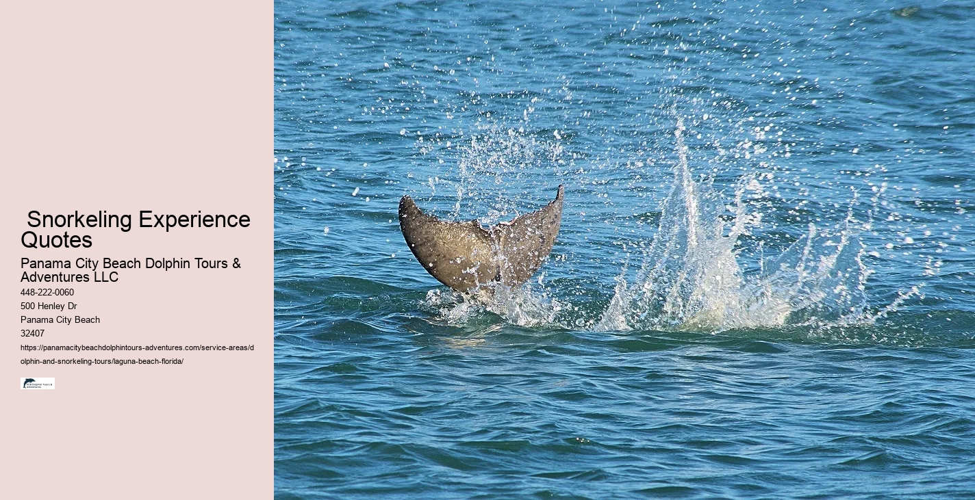Dolphin Sightseeing Tours Near Me