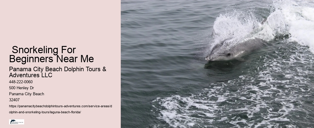 Dolphin Tours Near Me Prices