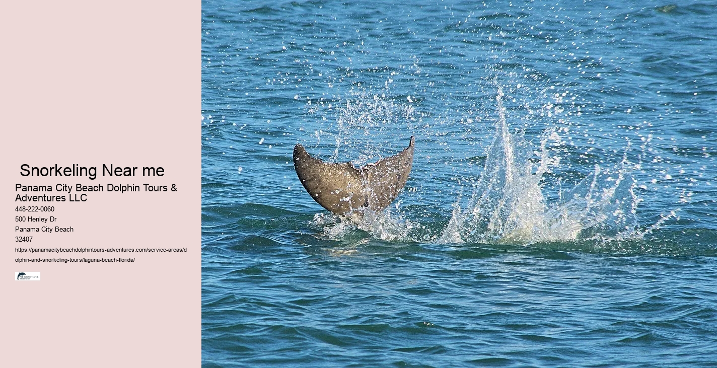 Dolphins