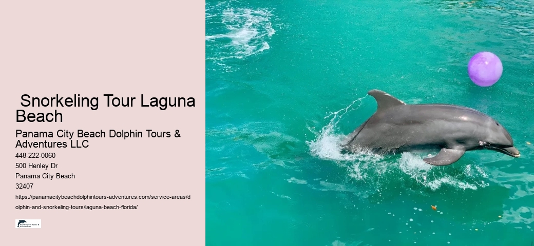 Best Snorkeling Spots In Laguna Beach