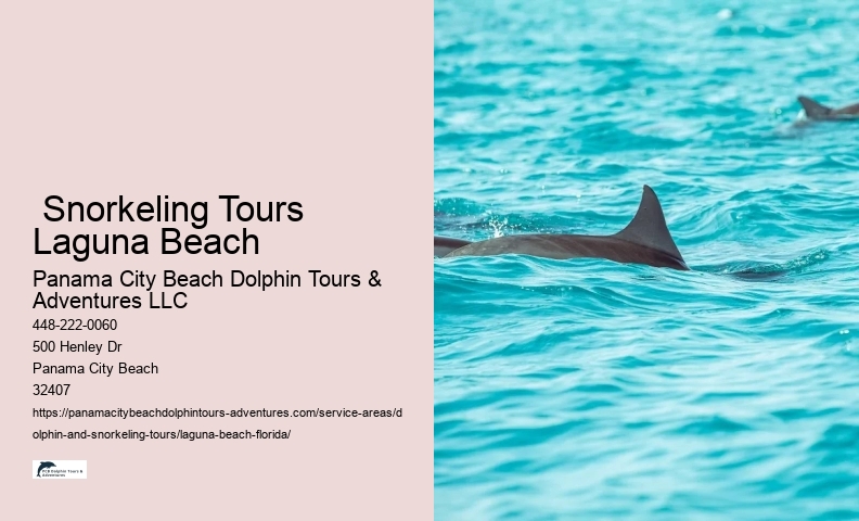 Dolphin Boat Tours Near Me