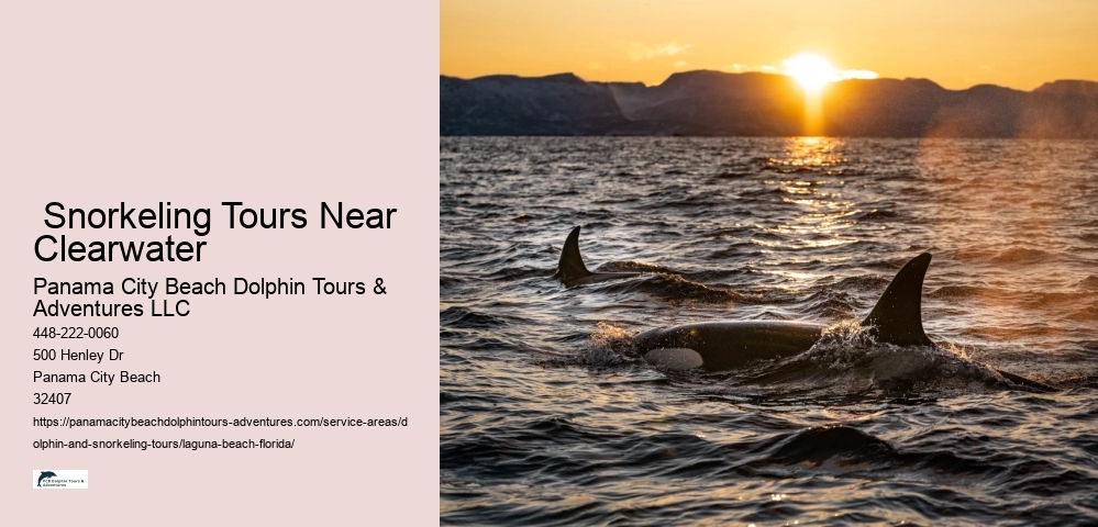 Cheap Snorkeling Destinations