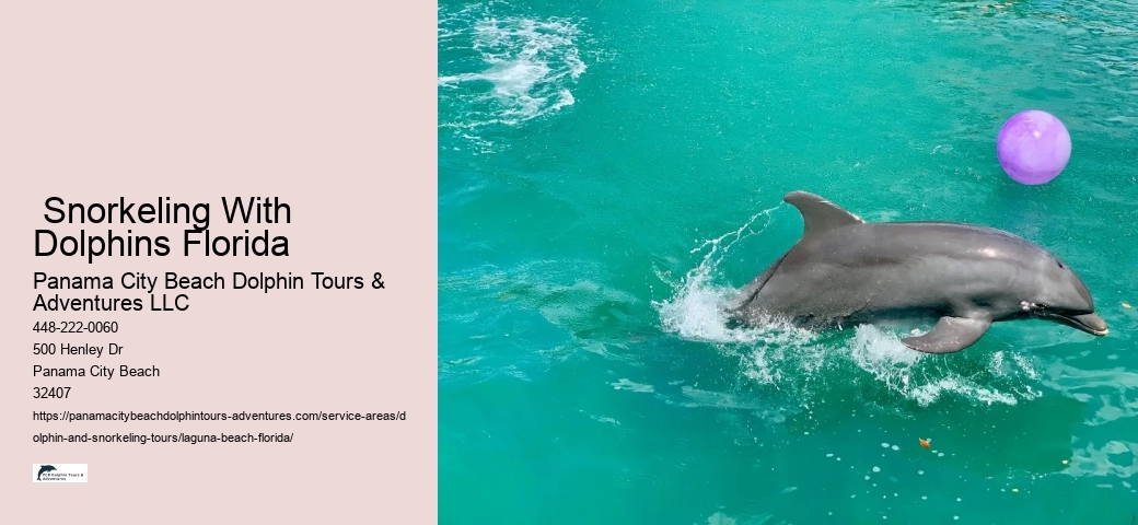 Dolphin & Snorkeling Tours Panama City Beach