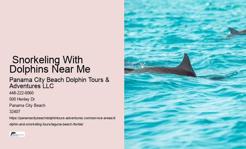 Dolphin And Snorkeling Tours Laguna Beach Florida