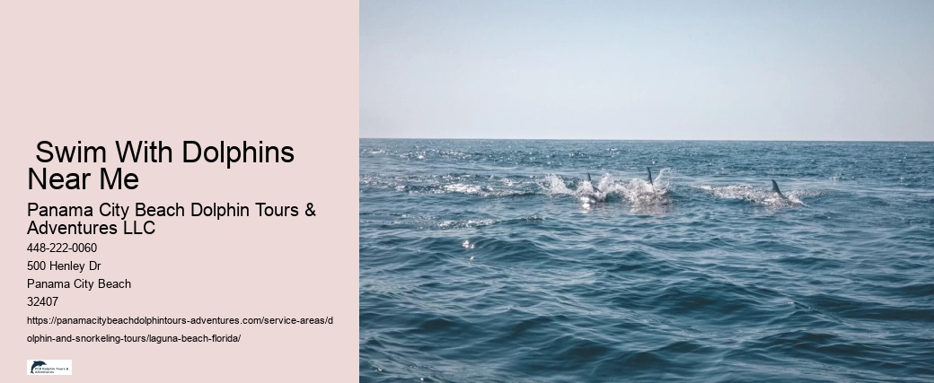 Best Dolphin Tours Near Me