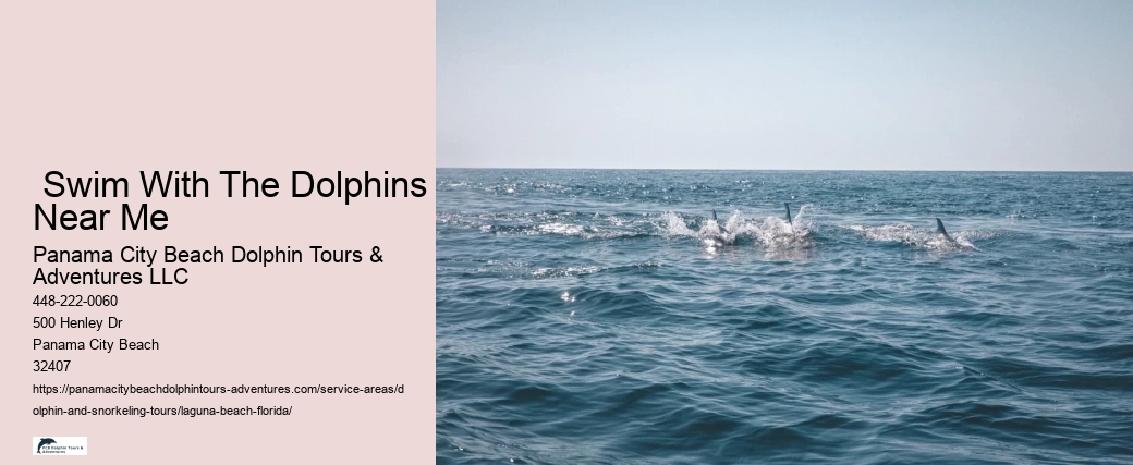 Snorkeling Boat Tours Big Island
