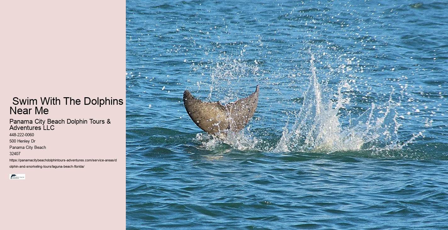 What time of year are dolphins most active in Florida