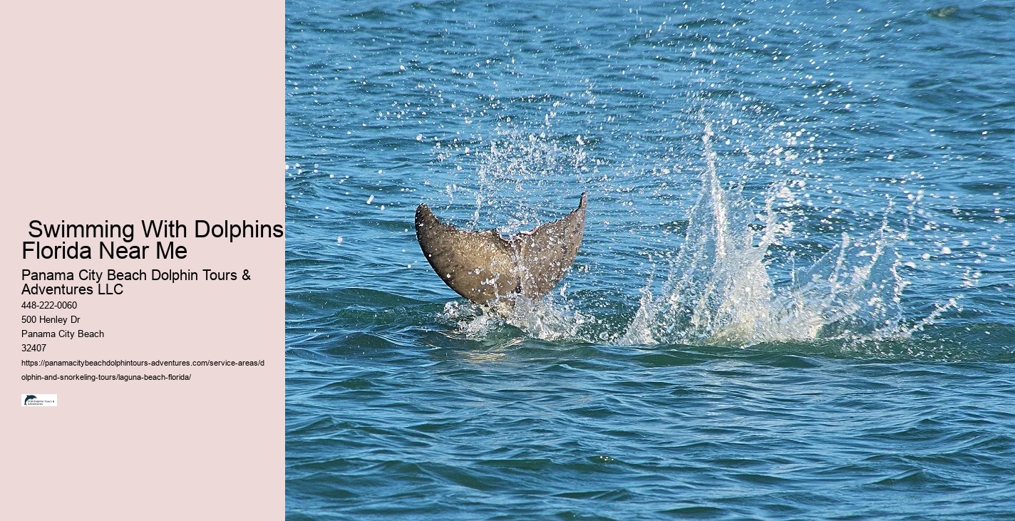Where is the best place to swim with wild dolphins