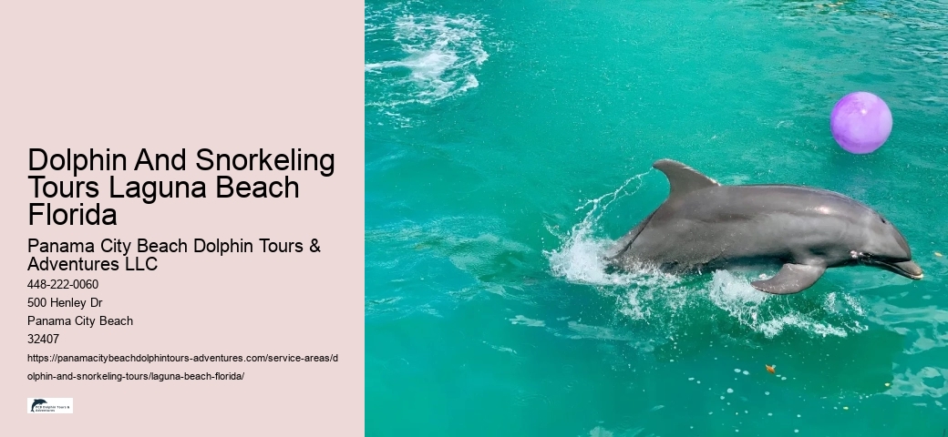 Snorkeling Experience Quotes